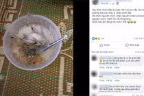 Cười ra nước mắt bát cháo dưỡng thai chồng nấu cho vợ