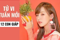 Video: Tử vi tuần mới từ 18/11 đến 24/11 năm 2019 của 12 con giáp