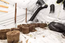 Đi du lịch 5 tháng, sốc vì nhà biến thành trang trại cần sa