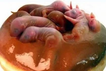 Những món ăn kinh dị do Từ Hy Thái Hậu nghĩ ra