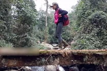 Video: Cô giáo 9x xuyên rừng Tà Xùa “cõng chữ” lên Làng Sáng