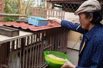 Nghề tay trái ít ai ngờ của nghệ sĩ Giang còi