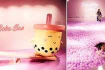 Video: Bảo tàng trà sữa: Điểm đến mới hút hàng nghìn fan hâm mộ