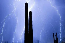 Những sự kiện trùng lặp lạ lùng nhất lịch sử