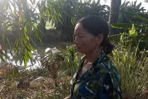 Chặt cây của người khác trước cửa nhà, cụ già vướng vòng lao lý