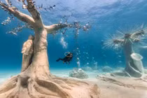 Khám phá khu rừng điêu khắc dưới nước tuyệt đẹp ở đảo Síp