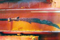 Võ trạng nguyên nổi tiếng lịch sử Việt