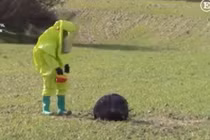 Phát hiện thấy UFO giống dụng cụ tra tấn giữa cánh đồng