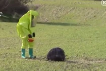 Phát hiện thấy UFO giống dụng cụ tra tấn giữa cánh đồng