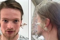 Kinh dị cảnh dùng chuột chết làm khuyên tai