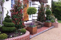 Những vị trí trong nhà trồng cây phong thủy dễ hút tài lộc nhất