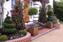 Những vị trí trong nhà trồng cây phong thủy dễ hút tài lộc nhất