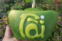 Chiêm ngưỡng bưởi thỏi vàng sắp ra mắt dịp Tết 2019