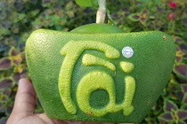 Chiêm ngưỡng bưởi thỏi vàng sắp ra mắt dịp Tết 2019