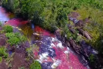 Video: Chiêm ngưỡng dòng sông kỳ lạ đổi màu độc đáo nhất hành tinh