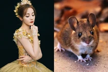 Sau ngày Giỗ Tổ, 3 con giáp này mua nhà tậu xe, giàu lên chóng mặt