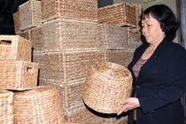 Trồng loài cây tưởng bỏ đi - "tưởng không giàu mà giàu không tưởng"