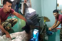 Bị đá phũ phàng, thanh niên giết bạn gái rồi phân xác phi tang