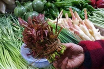 Loại rau đầy rẫy ở nông thôn nhưng vào siêu thị bán giá chót vót