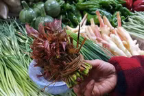 Loại rau đầy rẫy ở nông thôn nhưng vào siêu thị bán giá chót vót