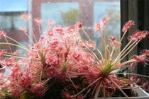 Giải mã bí ẩn thế giới bùa ngải thời cổ đại