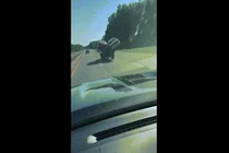 Video: Xe tải nhỏ “treo” 2 xe hơi 2 bên, chạy như làm xiếc