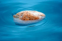 Kỳ lạ đằng sau loại đá có thể tự nổi trên mặt nước biển