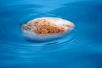 Kỳ lạ đằng sau loại đá có thể tự nổi trên mặt nước biển