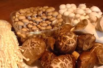 Mua nấm cứ nhìn vào điểm này đảm bảo bách phát bách trúng