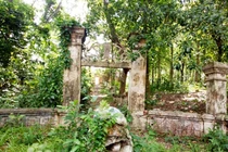 Tận thấy khu mộ cổ bị lãng quên của người giàu nhất Thủ Dầu Một xưa