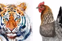 Trung tuần tháng 7, 3 con giáp tài lộc chạm đỉnh, tình duyên viên mãn