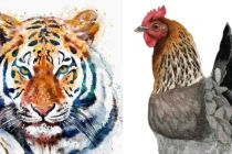 Trung tuần tháng 7, 3 con giáp tài lộc chạm đỉnh, tình duyên viên mãn