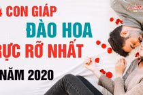 Video: Được Thần tình yêu “bắn xuyên tim”, con giáp này tình duyên vượng sắc trong năm 2020