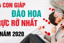 Video: Được Thần tình yêu “bắn xuyên tim”, con giáp này tình duyên vượng sắc trong năm 2020