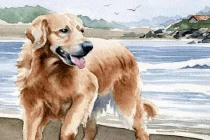 Từ Tết Nguyên đán 2022: Người sinh vào những năm này, tài lộc ập đến 