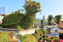 Vườn kiểng thú lớn bậc nhất đất Tây Đô khiến dân tình thích thú