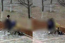 Cặp đôi yêu đương nóng bỏng trong vườn trường gây phẫn nộ