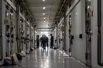 Ukraine tiết lộ con số bất ngờ về công dân bị bắt giam trên thế giới