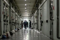 Ukraine tiết lộ con số bất ngờ về công dân bị bắt giam trên thế giới