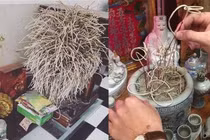 Cuối năm nên lau dọn bàn thờ bằng 3 loại nước này