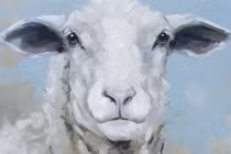 3 con giáp phát tài bất ngờ, có cơ hội đổi đời trong 10 ngày tới