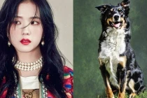 3 con giáp vướng sao xấu, hạn chế đầu tư kẻo dễ bị lừa gạt