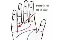 Sở hữu đường chỉ tay này, đảm bảo hậu vận giàu sang