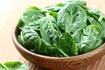 Các đối tượng này tuyệt đối không nên ăn rau mùng tơi