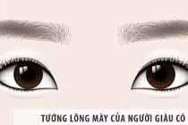 4 tướng chân mày tốt cho phụ nữ, mang đến nhiều may mắn