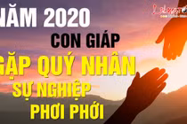 Video: Top con giáp được quý nhân phù trợ, sự nghiệp hanh thông năm 2020