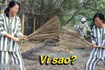 Tại sao quần áo của tù nhân lại kẻ sọc đen trắng?