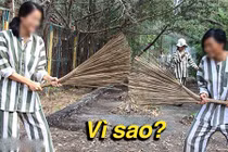 Tại sao quần áo của tù nhân lại kẻ sọc đen trắng?