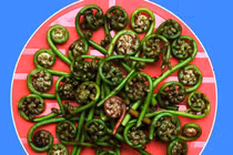 Rau rừng một thời cứu đói nay thành đặc sản