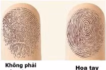 Đếm hoa tay đọc ngay vận mệnh giàu sang hay nghèo hèn